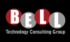 Logo of Bell Technology Consulting Group