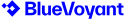 Logo of BlueVoyant