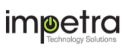 Logo of Impetra Technology Solutions LLC