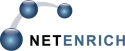 Logo of Netenrich, Inc.