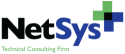 Logo of Network Systems Plus Inc