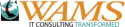 Logo of WAMS, Inc