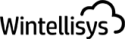 Logo of Wintellisys, Inc.